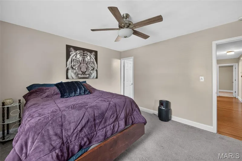 1114 Patsy Lane, O'Fallon, MO 63366 — listing photo 18 of 41