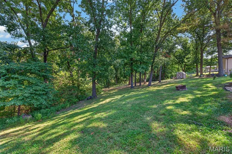 1114 Patsy Lane, O'Fallon, MO 63366 — listing photo 36 of 41