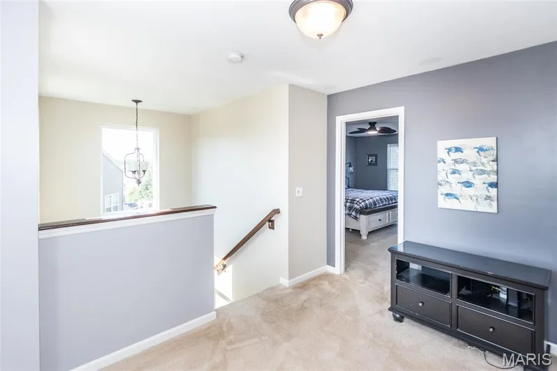 21 Meadow Vista Court, St Peters, MO 63376 — listing photo 21 of 51
