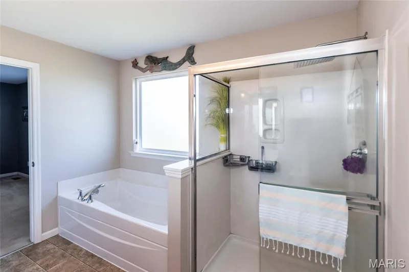21 Meadow Vista Court, St Peters, MO 63376 — listing photo 26 of 51