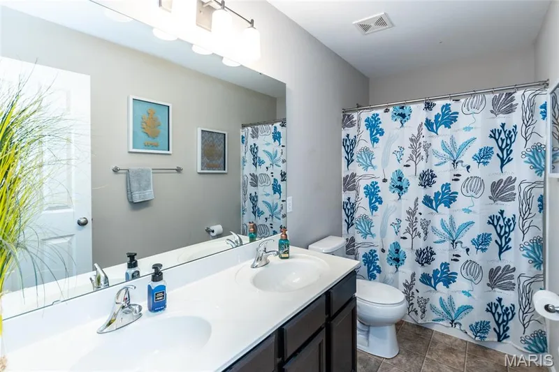 21 Meadow Vista Court, St Peters, MO 63376 — listing photo 29 of 51