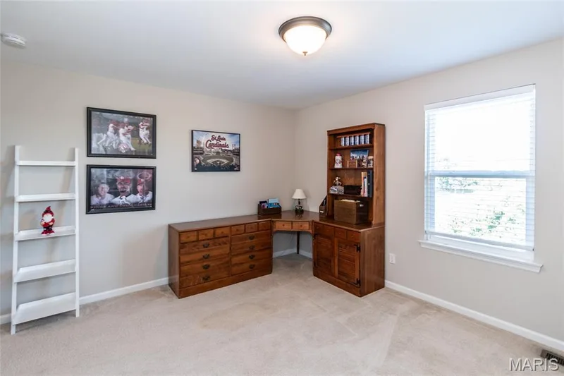 21 Meadow Vista Court, St Peters, MO 63376 — listing photo 31 of 51