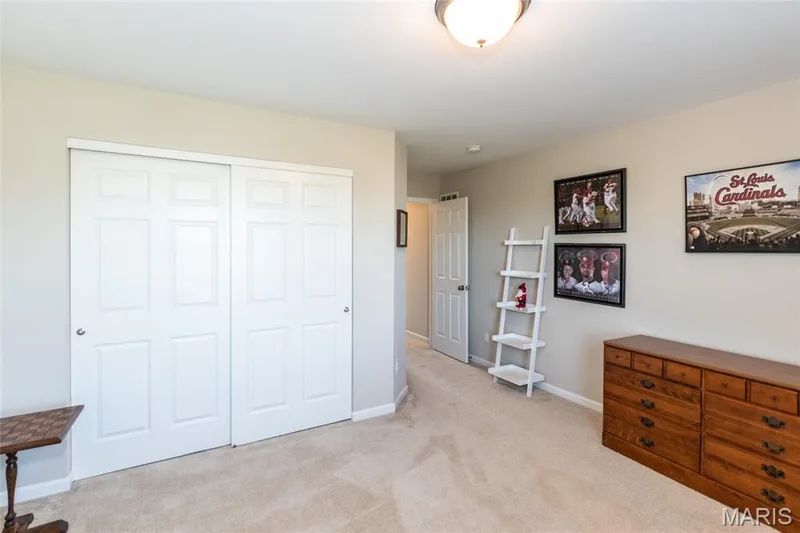 21 Meadow Vista Court, St Peters, MO 63376 — listing photo 32 of 51