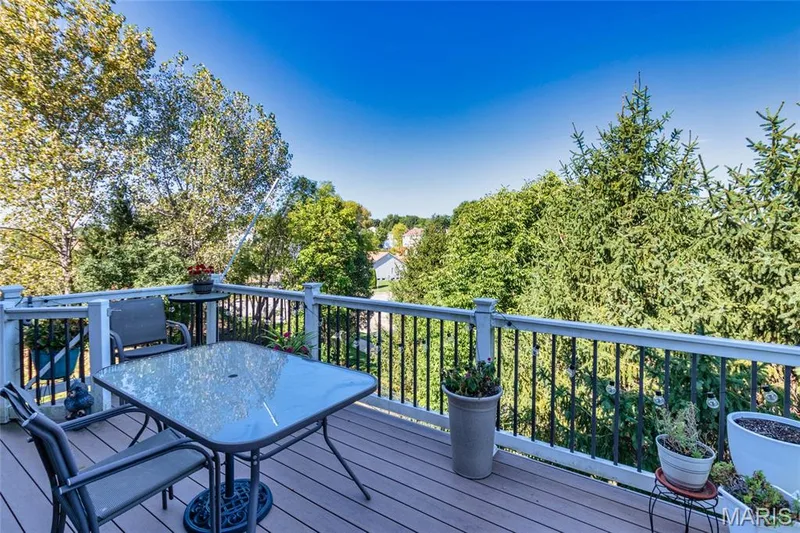 21 Meadow Vista Court, St Peters, MO 63376 — listing photo 49 of 51