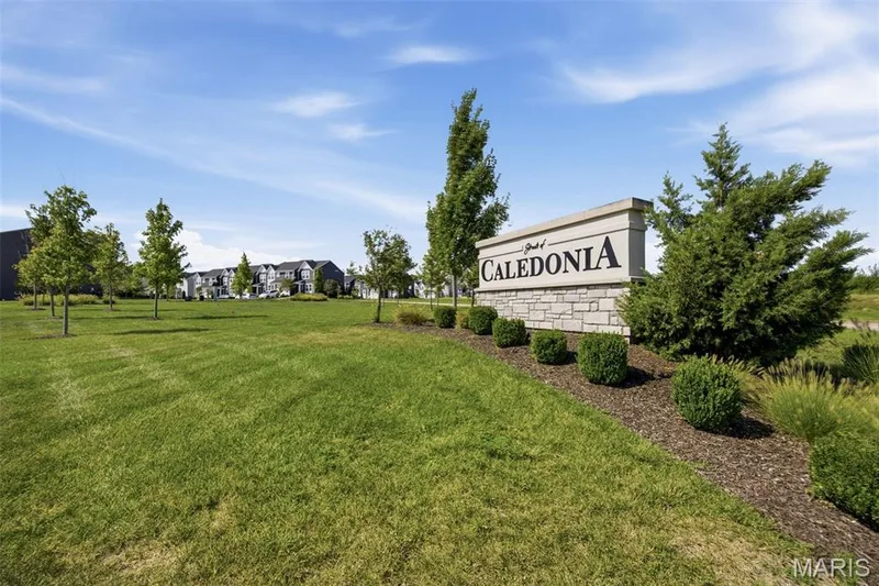 318 Newbridge Way, St Charles, MO 63368 — listing photo 3 of 29