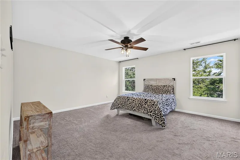 219 Quiet Bend Drive, Wentzville, MO 63385 — listing photo 25 of 31