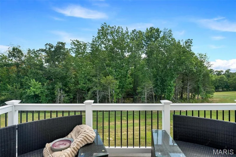 White railing with black balusters — 337 White Orchid Court, Wentzville, MO 63385