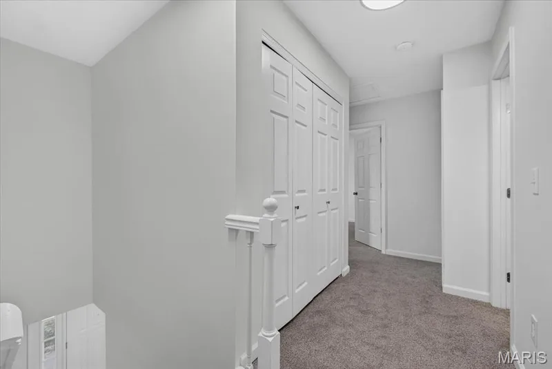 8204 Bristol Valley Drive, St Peters, MO 63376 — listing photo 28 of 62