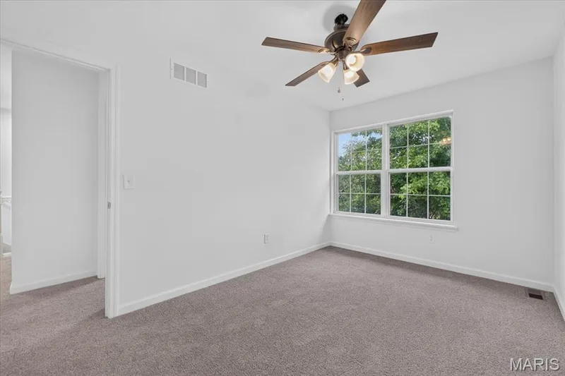 8204 Bristol Valley Drive, St Peters, MO 63376 — listing photo 35 of 62