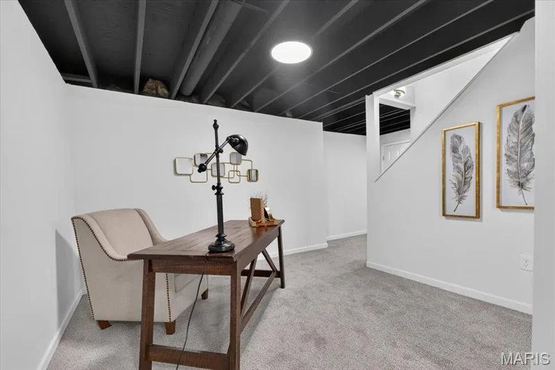 8204 Bristol Valley Drive, St Peters, MO 63376 — listing photo 49 of 62