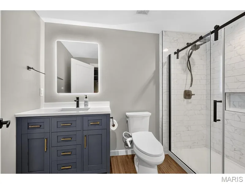 15 Millers Court, O'Fallon, MO 63366 — listing photo 37 of 47