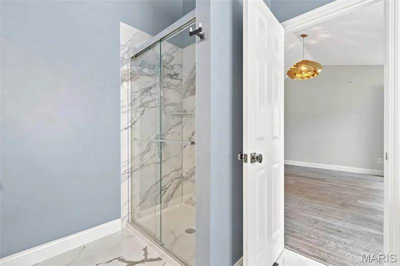 1665 Wild Goose Run, St Charles, MO 63303 — listing photo 20 of 46