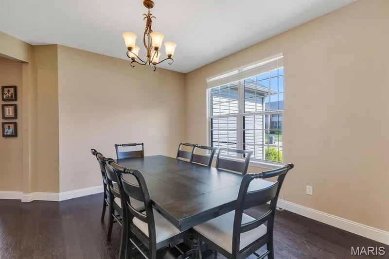 Natural & Overhead Light — 221 Oakhurst Circle, O'Fallon, MO 63367