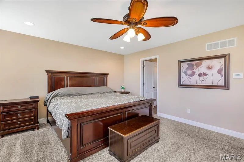 Carpet, Overhead & Recessed Lighting — 221 Oakhurst Circle, O'Fallon, MO 63367