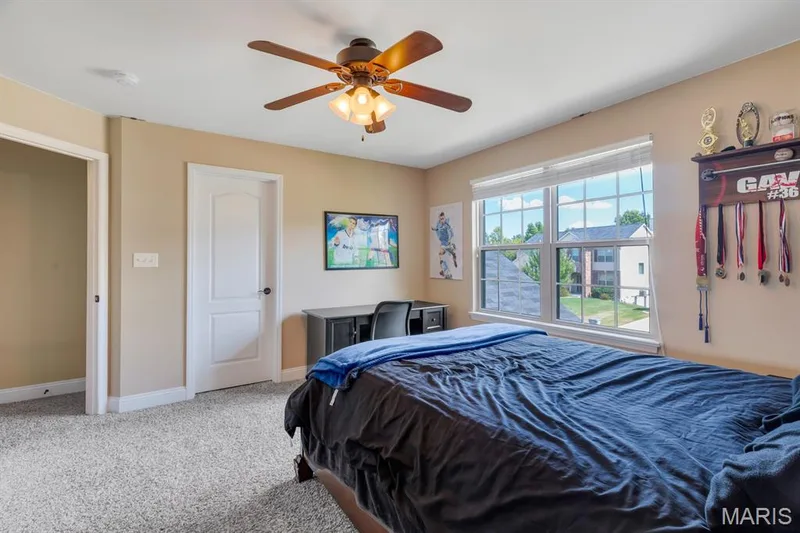 Carpet & Overhead, Natural, and Recessed Lighting — 221 Oakhurst Circle, O'Fallon, MO 63367