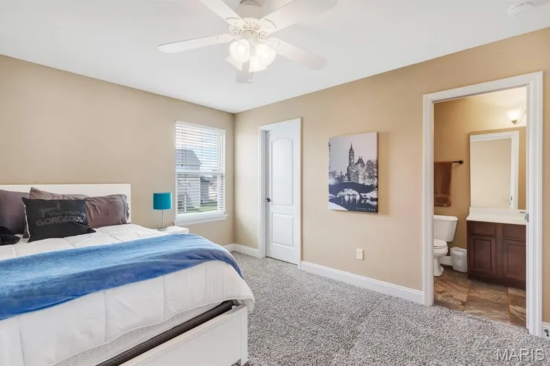 Natural & Overhead Light — 221 Oakhurst Circle, O'Fallon, MO 63367