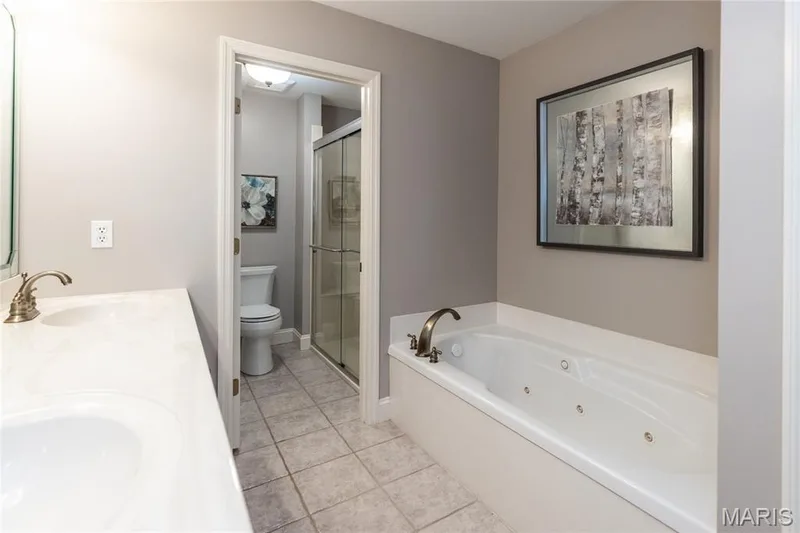 910 Daffodil Ridge Drive, O'Fallon, MO 63366 — listing photo 21 of 40
