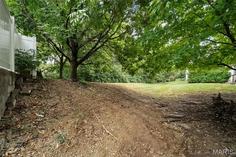 209 Waterside Crossing Court, St Peters, MO 63376 — listing photo 50 of 53