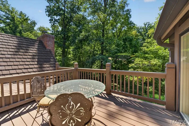 16463 Dapple Gray Court, Chesterfield, MO 63005 — listing photo 38 of 61