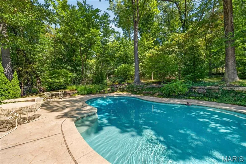 16463 Dapple Gray Court, Chesterfield, MO 63005 — listing photo 51 of 61