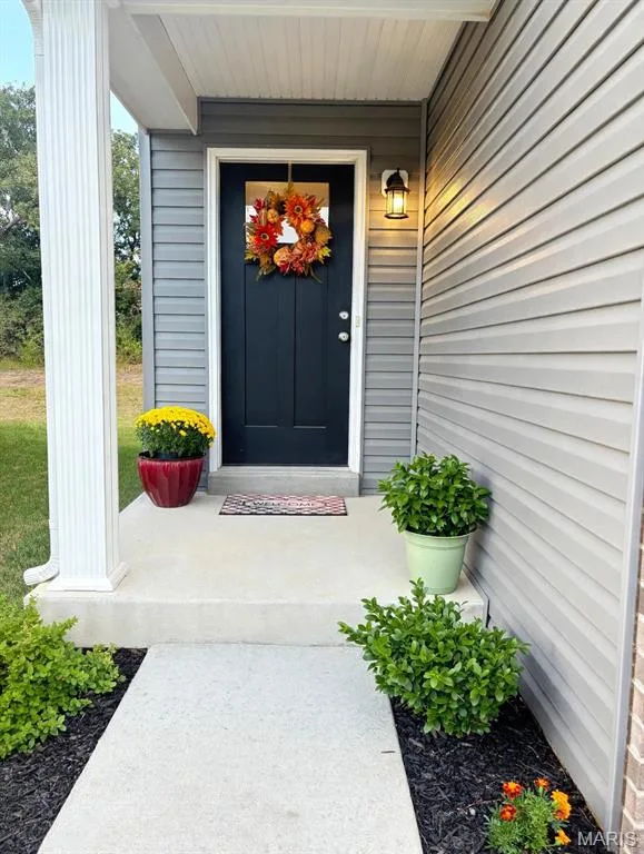 Covered front porch with a paneled entry door, vertical and horizontal siding, exterior lighting, and a concrete walkway — 157 Day Lily Lane, Wentzville, MO 63385