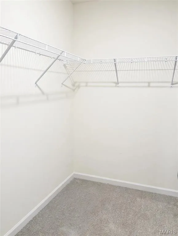 Wall-to-wall carpeting and white wire shelving — 157 Day Lily Lane, Wentzville, MO 63385