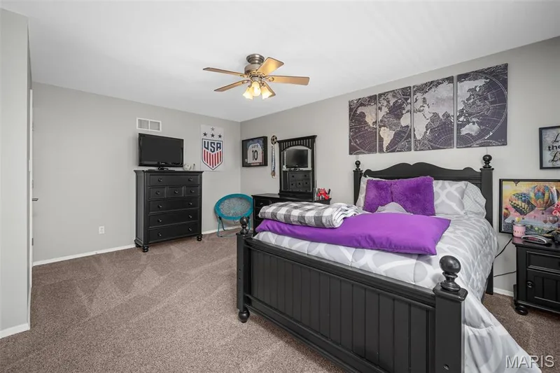 103 Mackintosh Lane, O'Fallon, MO 63368 — listing photo 30 of 71