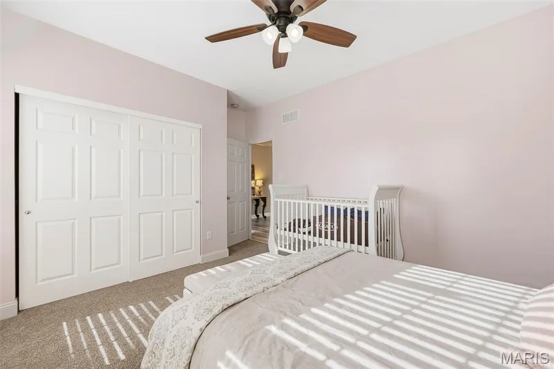 Ceiling fan — 513 Country Chase Drive, Lake St. Louis, MO 63367