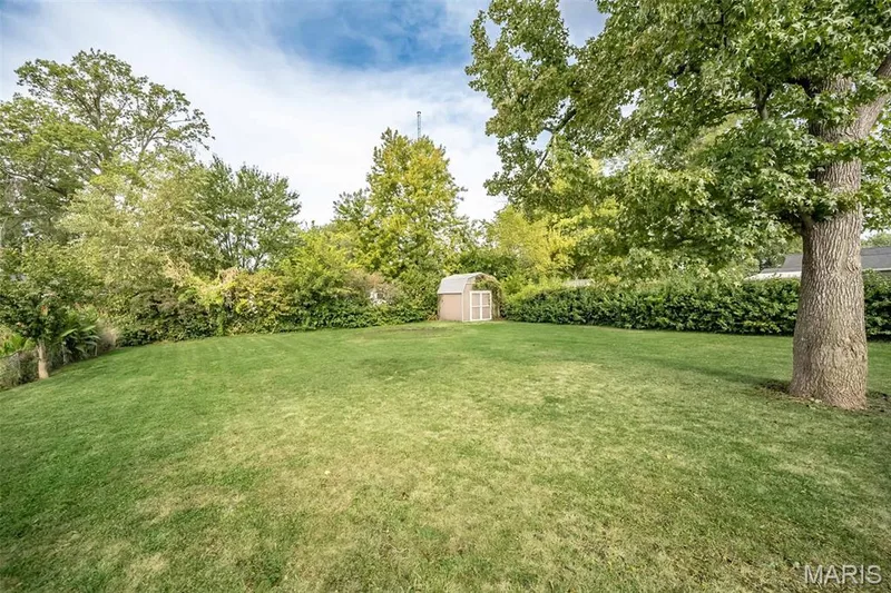 319 Wood Street, O'Fallon, MO 63366 — listing photo 32 of 35