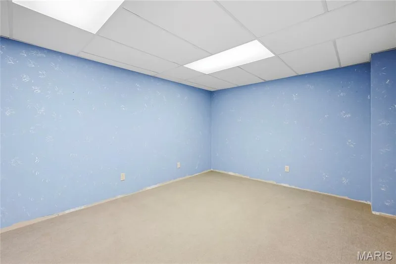 Lower Level Finished BONUS ROOM to use anyway you like! — 1278 Stephenridge Drive, St Charles, MO 63304