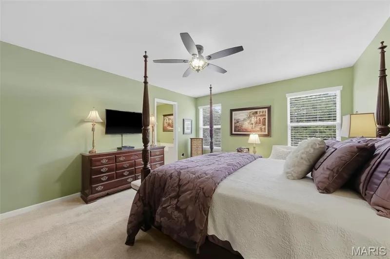 279 Sonnet Circle, Wentzville, MO 63385 — listing photo 20 of 50