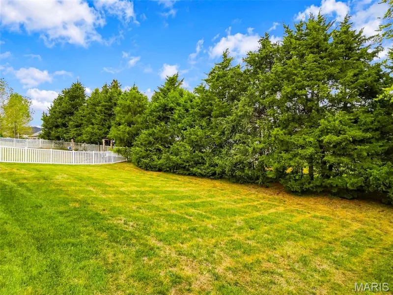 279 Sonnet Circle, Wentzville, MO 63385 — listing photo 41 of 50