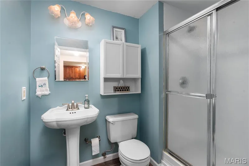 19342 Dogwood Valley Court, Wildwood, MO 63038 — listing photo 51 of 72