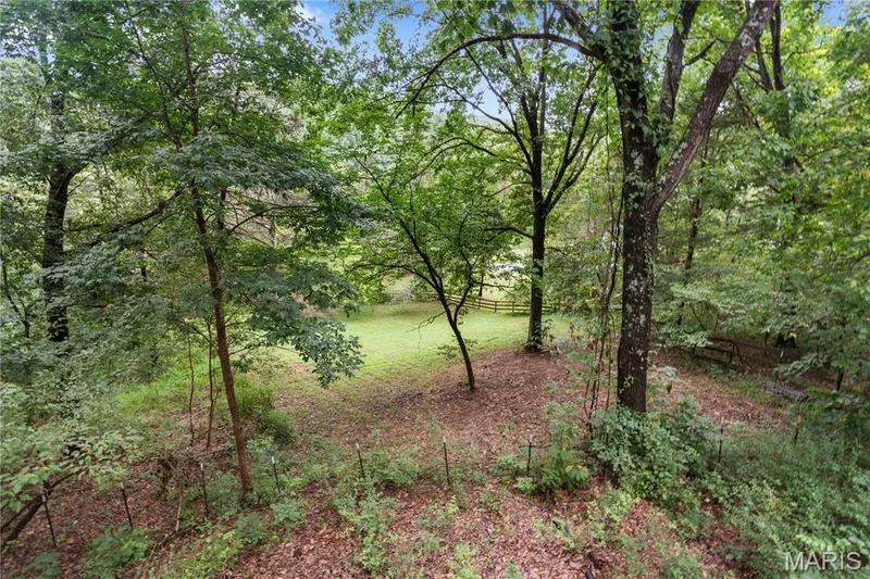 Wooded property featuring mature trees and a grassy clearing — 19342 Dogwood Valley Court, Wildwood, MO 63038