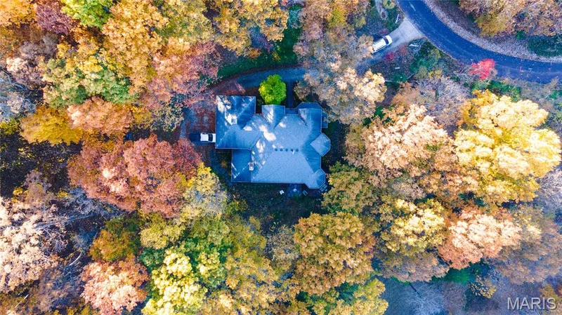Property nestled within a canopy of mature deciduous trees — 19342 Dogwood Valley Court, Wildwood, MO 63038