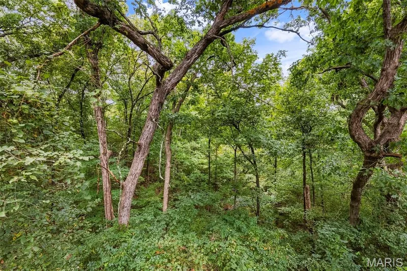View of the wooded areas connected to the back of the property. — 18409 Woodland Meadows Drive, Wildwood, MO 63038