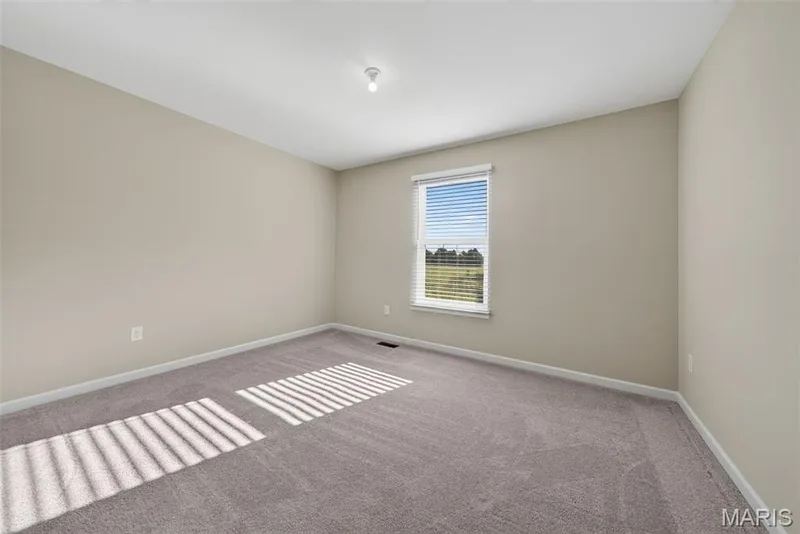 368 Cottage Grove Drive, Wentzville, MO 63385 — listing photo 22 of 28