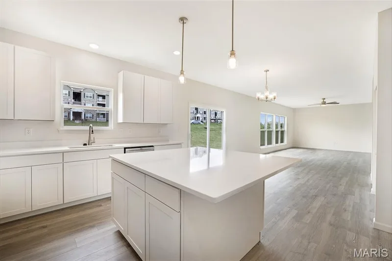 113 Cardinal Flower Drive, Wentzville, MO 63385 — listing photo 23 of 44