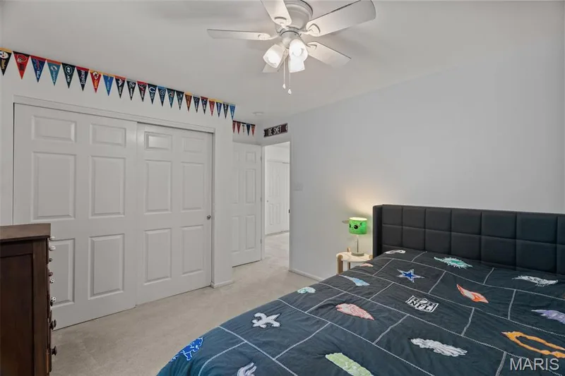 16103 Copperkey Court, Grover, MO 63040 — listing photo 46 of 64