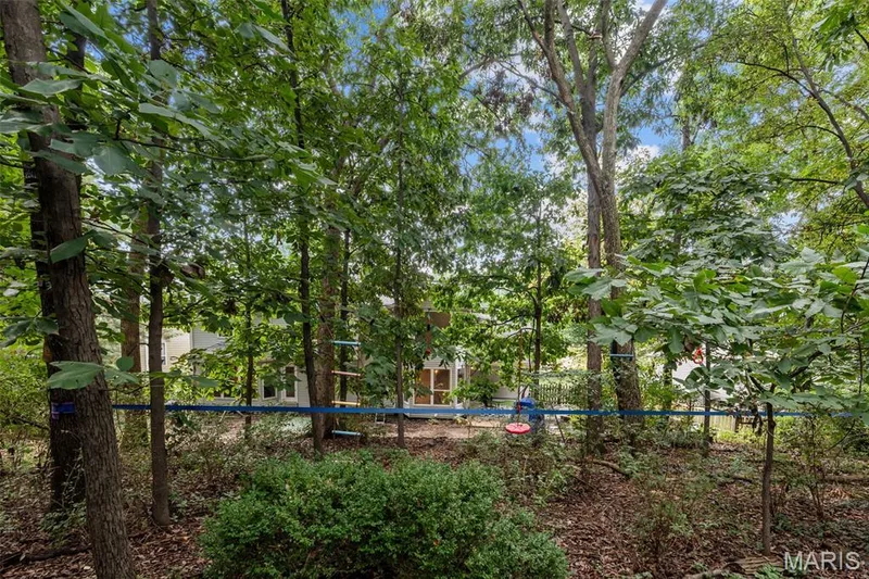 16103 Copperkey Court, Grover, MO 63040 — listing photo 59 of 64