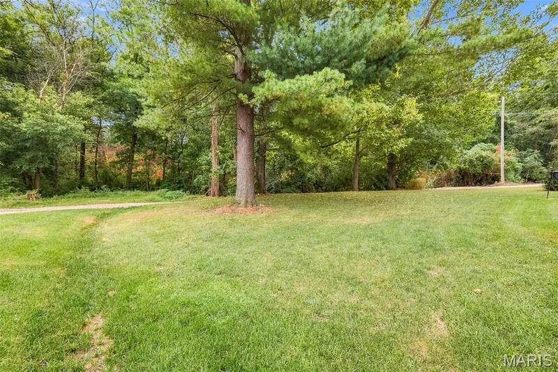 1392 N Henke Road, Lake St. Louis, MO 63367 — listing photo 64 of 94