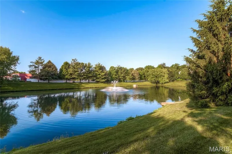 255 Cheval Square Drive, Chesterfield, MO 63005 — listing photo 42 of 45