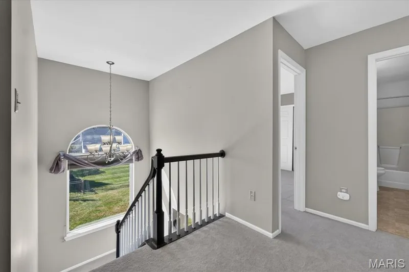 255 Cheval Square Drive, Chesterfield, MO 63005 — listing photo 22 of 45