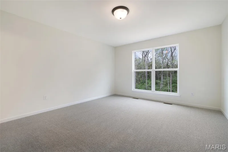 3 Snowdrop Court, Wentzville, MO 63385 — listing photo 18 of 29
