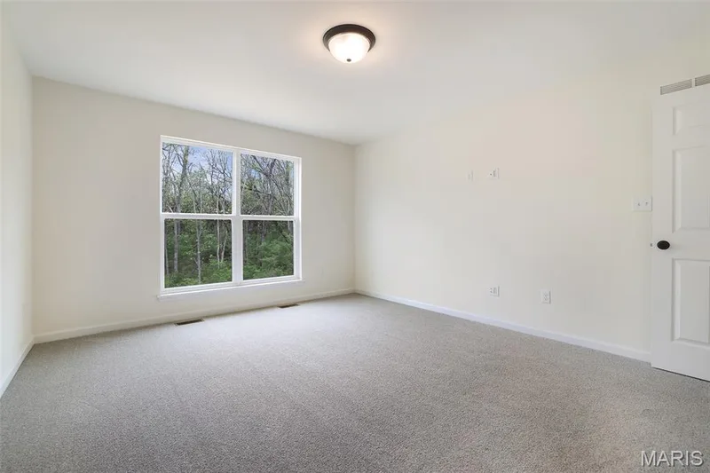 3 Snowdrop Court, Wentzville, MO 63385 — listing photo 19 of 29