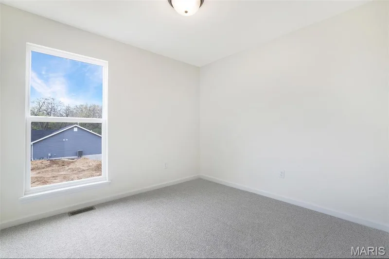 3 Snowdrop Court, Wentzville, MO 63385 — listing photo 27 of 29