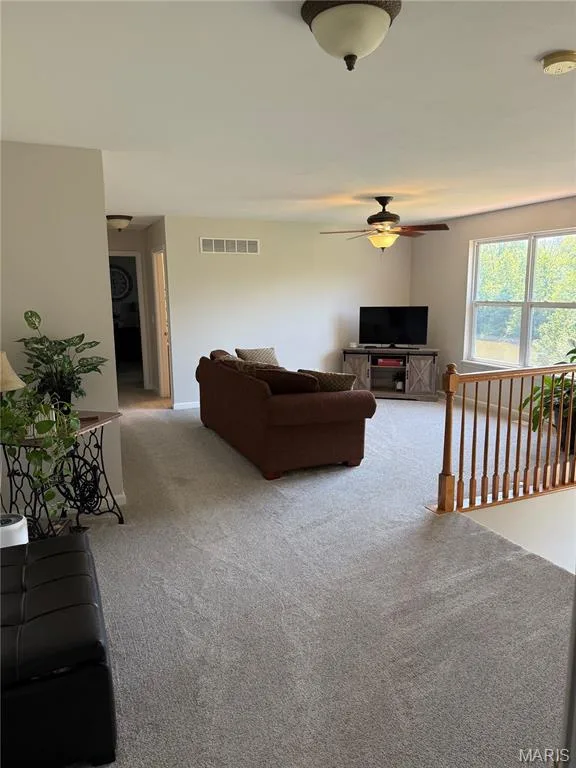 1128 Water View Lane, O'Fallon, MO 63366 — listing photo 18 of 22