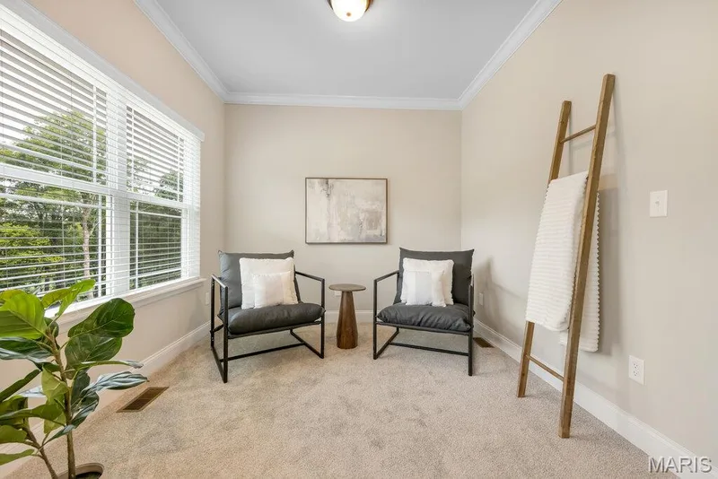 236 Woodhurst, Wentzville, MO 63385 — listing photo 25 of 67