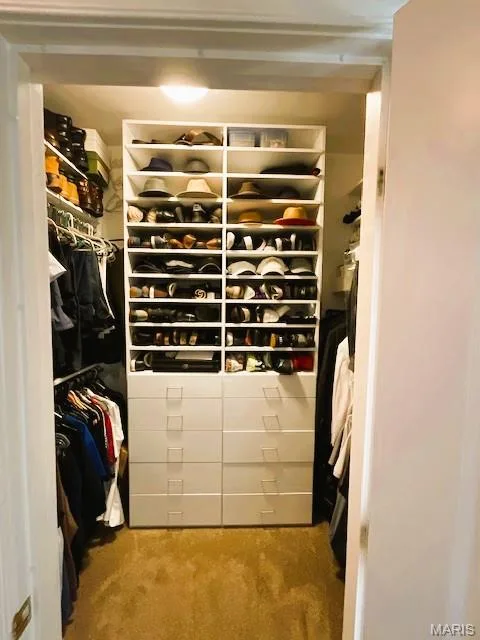 Walk-in Closet — 1009 Savonne Court, Chesterfield, MO 63005