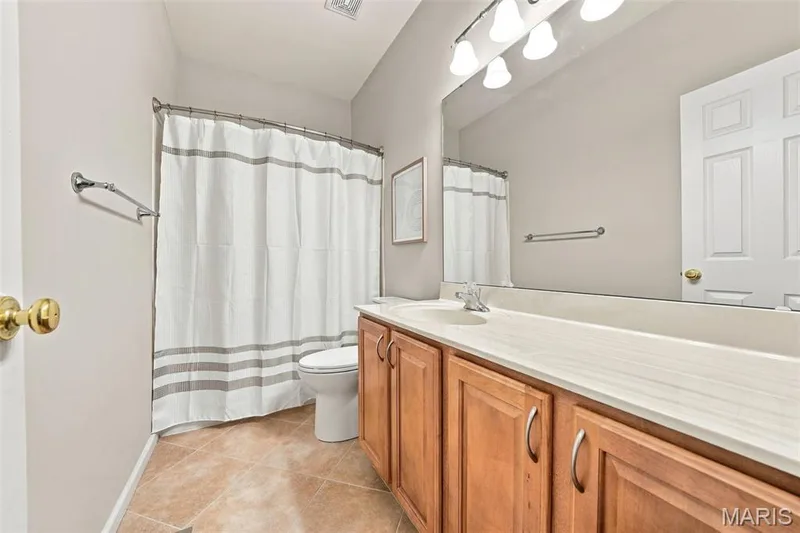 Main floor hall bathroom — 17124 Windsor Crest Boulevard, Glencoe, MO 63038